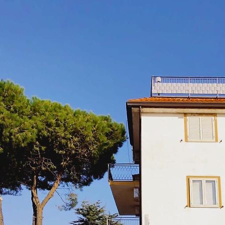 Domus Cedri Apartment Санта-Мария-дель-Чедро Экстерьер фото